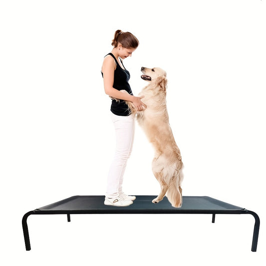 Outdoor Elevated Dog Bed
